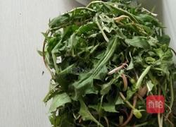 蒲公英蘸酱的做法图解1