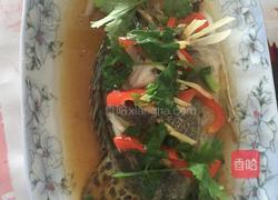 清蒸桂鱼的做法图解3