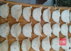 茴香饺子的做法图解7