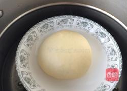椰蓉面包的做法图解3