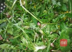 凉拌蒲公英的做法图解1