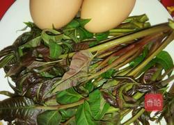 香椿摊鸡蛋的做法图解1