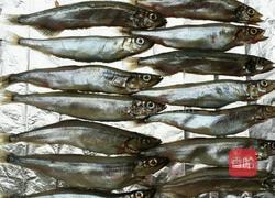 烤多春鱼的做法图解4