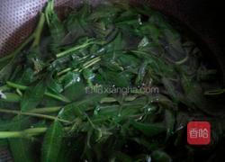 香椿拌菜的做法图解2