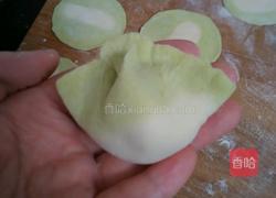 苜蓿猪肉馅饺子的做法图解8