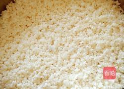 自制甜米酒（醪糟）的做法图解3