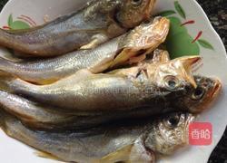 红烧小黄鱼的做法图解1