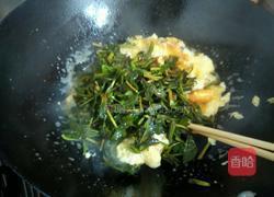 香椿炒鸡蛋的做法图解5