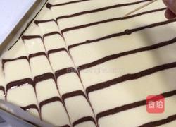 花纹蛋糕卷的做法图解20