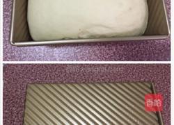 双色土司的做法图解13