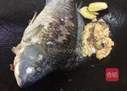 木瓜鲫鱼烫的做法图解4