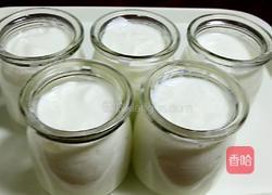 自制水果酸奶的做法图解10