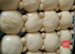 小熊挤挤包的做法图解5