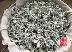 蒸苜蓿的做法图解3