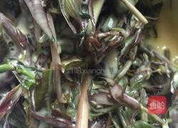 炸香椿的做法图解4