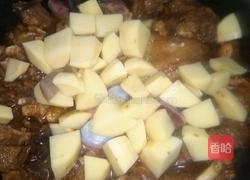 飘香大鹅炖土豆的做法图解7