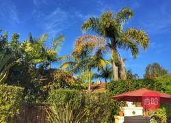 文一大饼鸡蛋的做法图解8