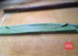 菠菜面皮的做法图解5