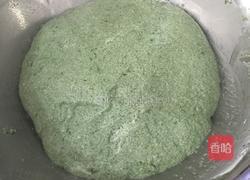 咸蛋黄肉松青团(网红青团)的做法图解6