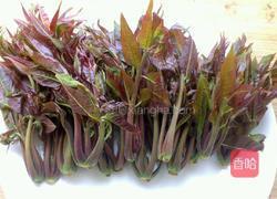 炸香椿鱼儿的做法图解1