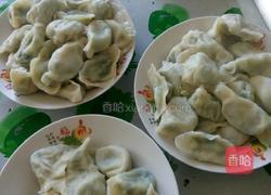 韭菜馅饺子的做法图解7