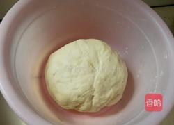 槐花饺子的做法图解4