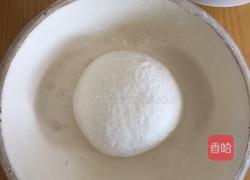 槐花肉饼的做法图解1