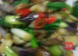 油焖茄子的做法图解8