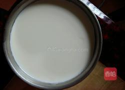 自制酸奶的做法图解12