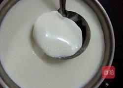 自制酸奶的做法图解13