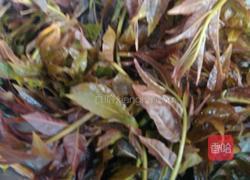 香椿丸子的做法图解1