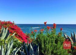  #春宴# 萝卜炖牛尾的做法图解10