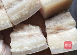 东坡肉的做法图解2