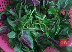 爆炒苋菜的做法图解1