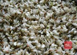 槐花麦饭的做法图解1