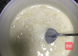 酸奶芒果盆栽与蛋糕芒果酸奶的做法图解4