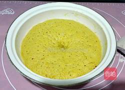 金灿灿全麦南瓜花卷的做法图解5