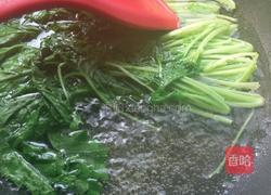 凉拌小青菜的做法图解3