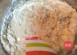 口袋面包(Pitta皮塔饼)的做法图解1