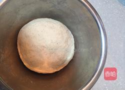 口袋面包(Pitta皮塔饼)的做法图解2