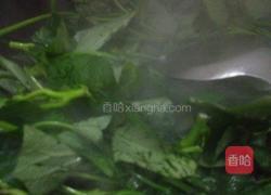 素炒番薯叶的做法图解3