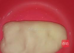 洋葱羊肉包子的做法图解1