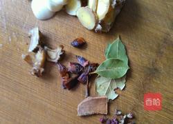 西红柿焖牛腩的做法图解4