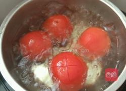西红柿焖牛腩的做法图解7