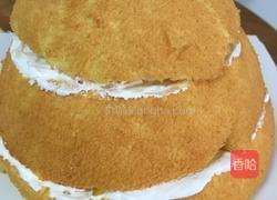 芭比娃娃蛋糕的做法图解34