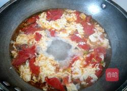 西红柿猪肝蛋汤的做法图解6