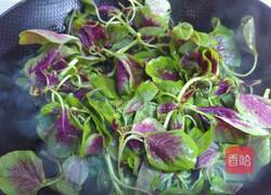 蒜末苋菜的做法图解3