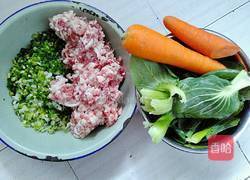 缤纷饺子(彩蔬饺子)的做法图解2