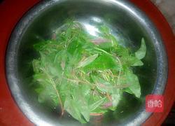 蒜炒苋菜的做法图解1
