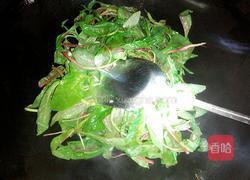 蒜炒苋菜的做法图解4